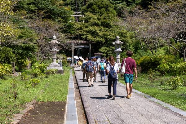 写真