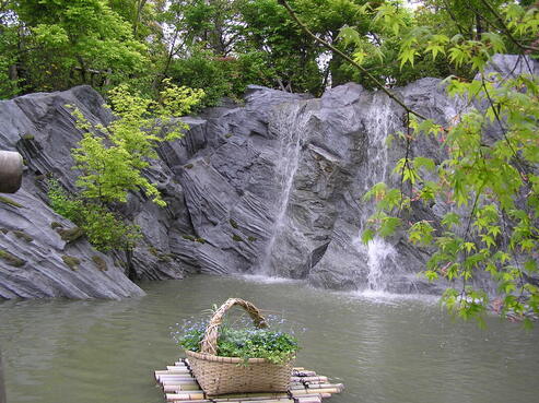 Picture